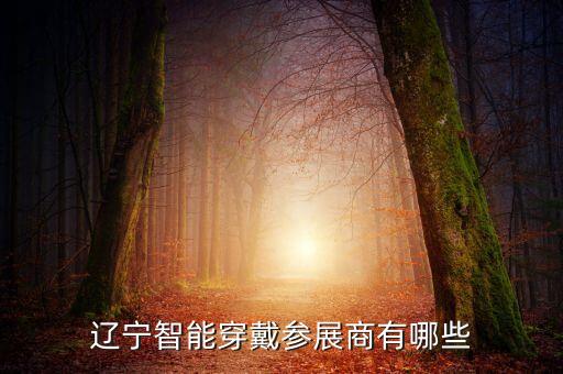 遼寧智能穿戴參展商有哪些
