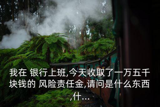 我在 銀行上班,今天收取了一萬(wàn)五千塊錢的 風(fēng)險(xiǎn)責(zé)任金,請(qǐng)問(wèn)是什么東西,什...